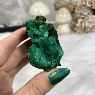 Velvet Malachite Cluster | Fibrous Green Copper Based Crystal from Curious Muse Crystals Tagged with Copper Stone, Crystal Healing, Dark Green Stone, Genuine Crystal, green, Hearth Chakra, hide-notify-btn, Malachite, Manifestation, Mineral Collection, Natural Mineral, Prosperity Wealth, Raw Mineral, Reiki Healing