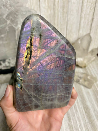 Purple Flash Labradorite Polished Free Form from Curious Muse Crystals Tagged with crystal energy, dark purple lab, full flash lab, hide-notify-btn, Labradorite, psychic protection, purple, reiki healing