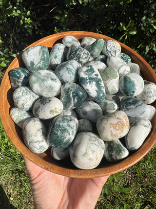 Tree Agate Tumbled Crystal
