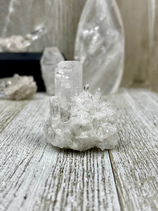 Danburite Raw Crystal Cluster Self Standing | Caracas, Mexico from Curious Muse Crystals Tagged with clear, crown chakra, Crystal healing, danburite, hide-notify-btn, pink, raw, raw crystal