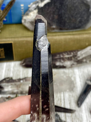 Quartz with Hematite and Lithium inclusions | Afghanistan from Curious Muse Crystals Tagged with Afghanistan, hematite, hematite red quartz, Laser quartz, lithium, Lithium quartz, Specular hematite