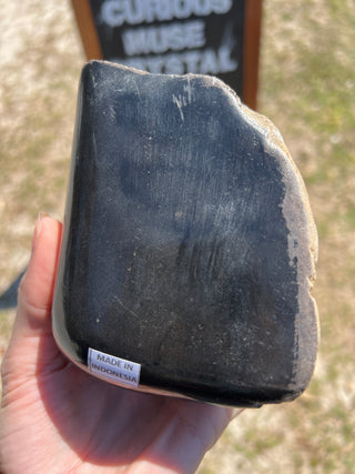 Black Petrified Wood Raw Display Piece