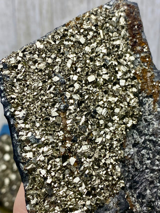 Pyrite on Shungite Raw Layered Plate | Brazil from Curious Muse Crystals Tagged with abundance, black, brazil, cleansing, gold, manifestation, purification, pyrite, shungite