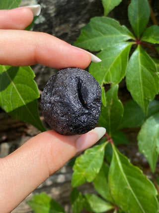 Colombianite 27g Pseudo-Tektite Raw Specimen from Curious Muse Crystals Tagged with black, colombia, colombianite, hide-notify-btn, moldavite, obsidian, reiki healing, space crystal, tektite