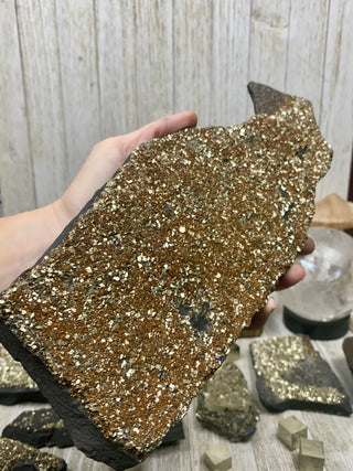 Pyrite on Shungite Raw Layered Plate | Brazil from Curious Muse Crystals Tagged with abundance, black, brazil, cleansing, gold, manifestation, purification, pyrite, shungite