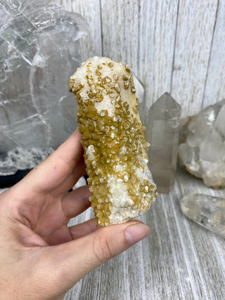 Danburite Pseudomorph with Calcites | Caracas, Mexico from Curious Muse Crystals Tagged with calcite, clear, crown chakra, Crystal healing, danburite, fine mineral, hide-notify-btn, pseudomorph, raw, raw crystal