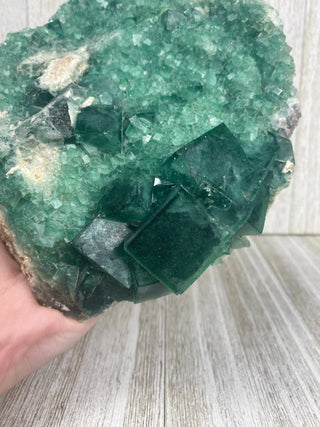 Cubic Green Fluorite with Phantoms | Madagascar from Curious Muse Crystals Tagged with crystal energy, cubic, fluorescence, fluorite, green, hide-notify-btn, madagascar, reiki healing