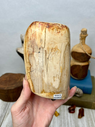 Petrified Wood Raw Display Piece