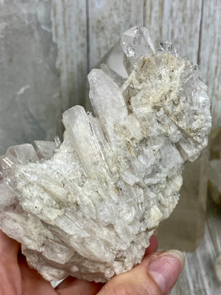 Danburite Raw Crystal Large Cluster | Caracas, Mexico from Curious Muse Crystals Tagged with clear, crown chakra, Crystal healing, danburite, hide-notify-btn, pink, raw, raw crystal