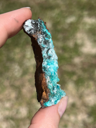 Rosasite with Aurichalcite Raw Specimen | Ojuela Mine, Mexico