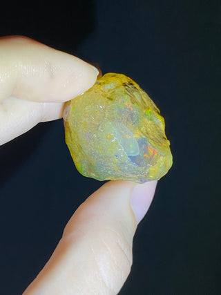 Raw Welo Opal from Ethiopia | Water Opal from Curious Muse Crystals Tagged with Ethiopian opal, flashy opal, hide-notify-btn, opal, rainbow, raw, Welo Opal