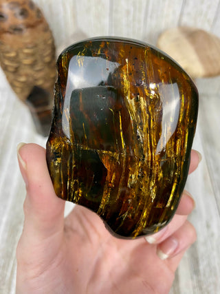 Lion's Mane Sumatran Amber | High Quality Collectors Grade Amber from Curious Muse Crystals Tagged with amber, brown, Crystal healing, fine mineral, fossil, fossilized amber, genuine crystal, hide-notify-btn, mineral specimen, real amber, sulfur, uv reactive