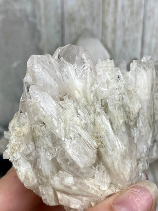 Danburite Raw Crystal Large Cluster | Caracas, Mexico from Curious Muse Crystals Tagged with clear, crown chakra, Crystal healing, danburite, hide-notify-btn, pink, raw, raw crystal