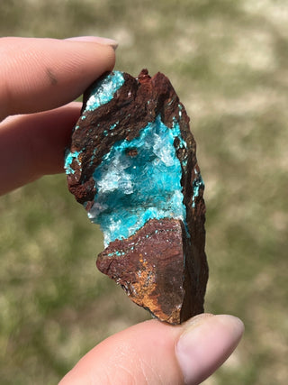 Rosasite with Aurichalcite Raw Specimen | Ojuela Mine, Mexico
