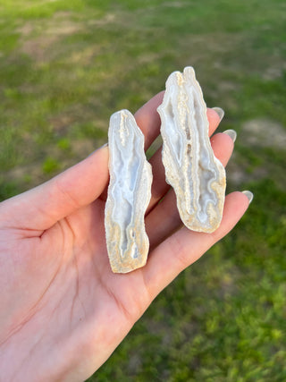 Fossil Agatized Coral Collectors Pair | Tampa Bay, Florida