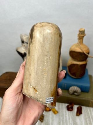 Petrified Wood Raw Display Piece