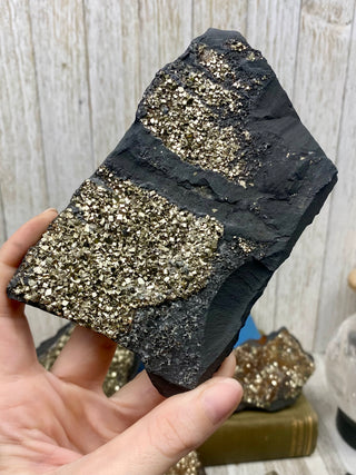 Pyrite on Shungite Raw Layered Plate | Brazil from Curious Muse Crystals Tagged with abundance, black, brazil, cleansing, gold, manifestation, purification, pyrite, shungite