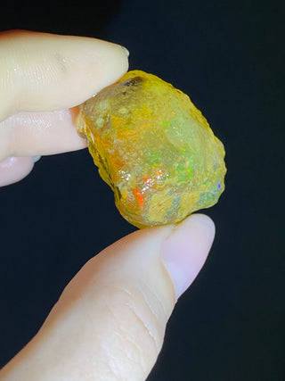 Raw Welo Opal from Ethiopia | Water Opal from Curious Muse Crystals Tagged with Ethiopian opal, flashy opal, hide-notify-btn, opal, rainbow, raw, Welo Opal