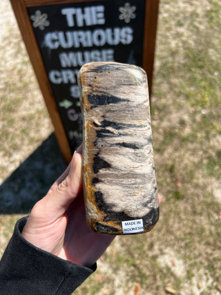 Black and Tan Petrified Wood Raw Display Piece