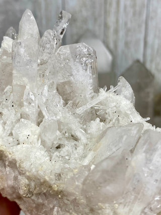 Danburite Raw Crystal Large Cluster | Caracas, Mexico from Curious Muse Crystals Tagged with clear, crown chakra, Crystal healing, danburite, hide-notify-btn, pink, raw, raw crystal