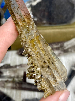 Quartz with Hematite and Lithium inclusions | Afghanistan from Curious Muse Crystals Tagged with Afghanistan, hematite, hematite red quartz, Laser quartz, lithium, Lithium quartz, Specular hematite