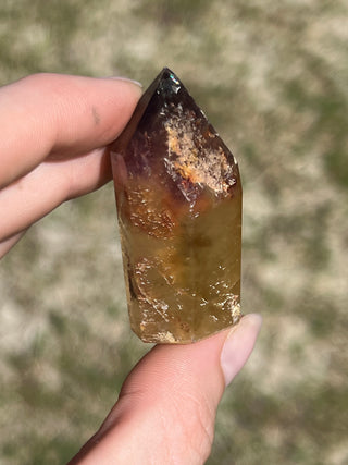 Dreamcoat Lemurian Generator | Polished Brazilian Tower Crystal