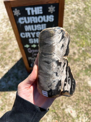 Black and Tan Petrified Wood Raw Display Piece