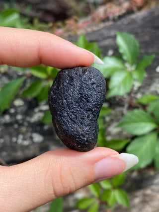 Colombianite 28g Pseudo-Tektite Raw Specimen from Curious Muse Crystals Tagged with black, colombia, colombianite, hide-notify-btn, moldavite, obsidian, reiki healing, space crystal, tektite