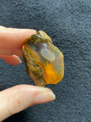 Raw Welo Opal from Ethiopia | Water Opal from Curious Muse Crystals Tagged with Ethiopian opal, flashy opal, hide-notify-btn, opal, rainbow, raw, Welo Opal