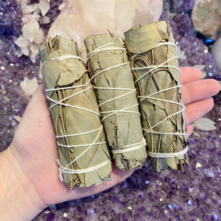 Eucalyptus Bundle | Connection & Cleansing from Curious Muse Crystals Tagged with eucalyptus, herb bundle, Smoke cleansing, smudge
