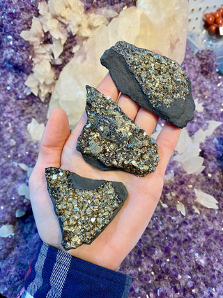 Pyrite on Shungite Raw Small Chunk | Brazil from Curious Muse Crystals Tagged with abundance, black, brazil, cleansing, gold, manifestation, purification, pyrite, shungite