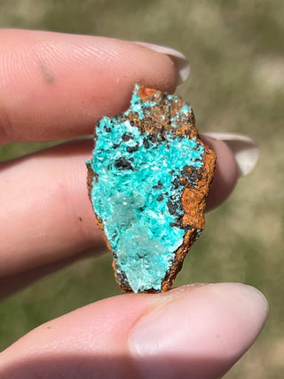 Rosasite with Aurichalcite Raw Specimen | Ojuela Mine, Mexico