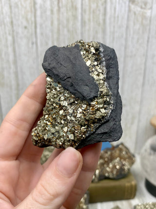 Pyrite on Shungite Raw Layered Plate | Brazil from Curious Muse Crystals Tagged with abundance, black, brazil, cleansing, gold, manifestation, purification, pyrite, shungite