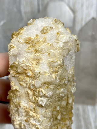 Danburite Pseudomorph with Calcites | Caracas, Mexico from Curious Muse Crystals Tagged with calcite, clear, crown chakra, Crystal healing, danburite, fine mineral, hide-notify-btn, pseudomorph, raw, raw crystal