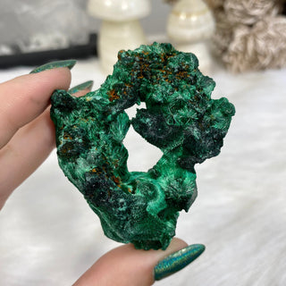 Velvet Malachite Cluster | Fibrous Green Copper Based Crystal from Curious Muse Crystals Tagged with Copper Stone, Crystal Healing, Dark Green Stone, Genuine Crystal, green, Hearth Chakra, hide-notify-btn, Malachite, Manifestation, Mineral Collection, Natural Mineral, Prosperity Wealth, Raw Mineral, Reiki Healing