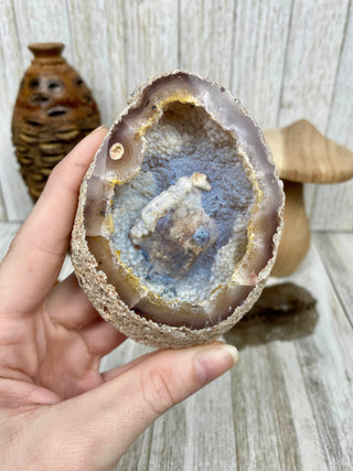 Fossil Ocean Creature Unique Cubic Structure from Curious Muse Crystals Tagged with florida, Fossil Coral, hide-notify-btn, orange, raw, red, Tampa Bay, USA, white