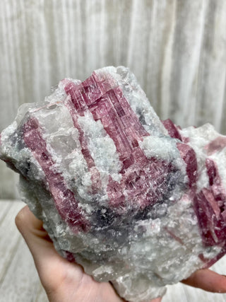 Pink Tourmaline in Albite with Lepidolite | Brazil from Curious Muse Crystals Tagged with Albite, brazil, hide-notify-btn, lepidolite, lithium, pink, raw, rubellite, tourmaline
