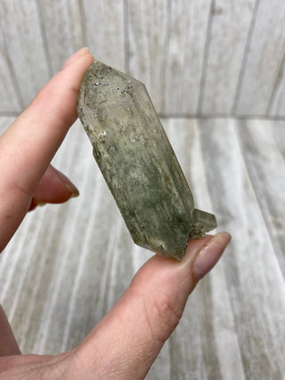 Nirvana Quartz Double Termination with Green Chlorite | High-Altitude Himalayan Crystal from Curious Muse Crystals Tagged with chlorite inclusion, clear, green, green Quartz, hand mined crystal, hide-notify-btn, high altitude quartz, High vibration stone, Himalayan Quartz, manifesting Quartz, Nirvana Quartz