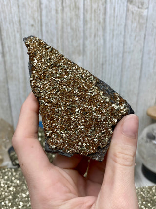 Pyrite on Shungite Raw Layered Plate | Brazil from Curious Muse Crystals Tagged with abundance, black, brazil, cleansing, gold, manifestation, purification, pyrite, shungite