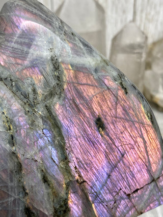 Purple Flash Labradorite Polished Free Form from Curious Muse Crystals Tagged with crystal energy, dark purple lab, full flash lab, hide-notify-btn, Labradorite, psychic protection, purple, reiki healing