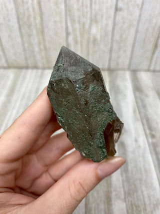 Nirvana Smoky Quartz with Green Chlorite Terminated Point | High-Altitude Himalayan Crystal from Curious Muse Crystals Tagged with chlorite inclusion, clear, green, green Quartz, hand mined crystal, hide-notify-btn, high altitude quartz, High vibration stone, Himalayan Quartz, manifesting Quartz, Nirvana Quartz