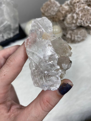 Selenite Raw Specimen on Wood Base | Brazil from Curious Muse Crystals for 35. Tagged with bracelet, brazil, clear, crystal, hide-notify-btn, on stand, raw mineral, raw selenite, selenite