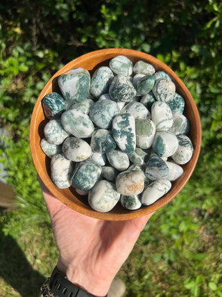Tree Agate Tumbled Crystal