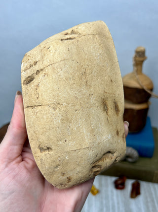 Petrified Wood Raw Display Piece