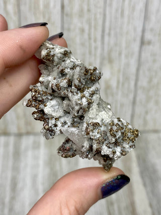 Calcite with Chalcopyrite | Cozamin Mine, Zacatecas, Mexico from Curious Muse Crystals Tagged with calcite, chalcopyrite, clear, fine mineral, gold, mexico, raw