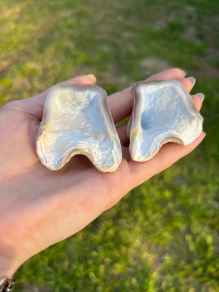 Fossil Agatized Coral Collectors Pair | Tampa Bay, Florida