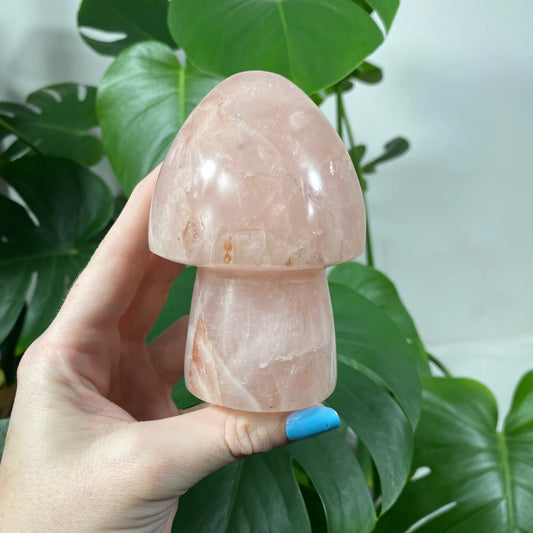 Rose Quartz Mushroom from Curious Muse Crystals for 48. Tagged with asterism, carving, massager, mushroom, rose Quartz, star