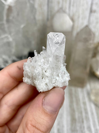 Danburite Raw Crystal Cluster Self Standing | Caracas, Mexico from Curious Muse Crystals Tagged with clear, crown chakra, Crystal healing, danburite, hide-notify-btn, pink, raw, raw crystal