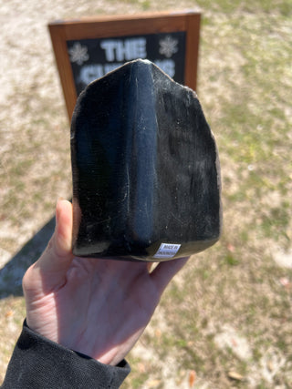 Black Petrified Wood Raw Display Piece