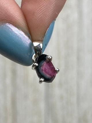 Tourmaline in Sterling Silver Pendant from Curious Muse Crystals Tagged with crystal healing, Crystal Jewelry, energy work, hide-notify-btn, pink, red, Sterling, sterling silver, tourmaline